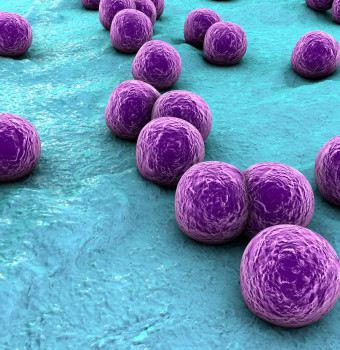 Image for Post - CDC Report: Antibiotic-resistant infections killing twice as many Americans as once thought