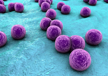 Image for post - CDC Report: Antibiotic-resistant infections killing twice as many Americans as once thought